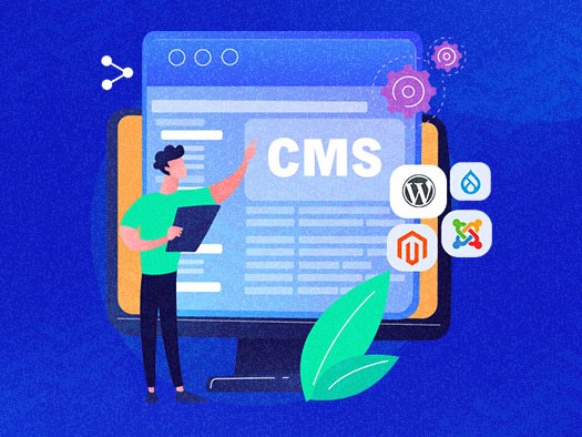 Web Portals & CMS Platforms