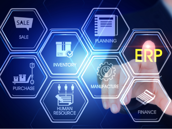 Enterprise Resource Planning (ERP) Software